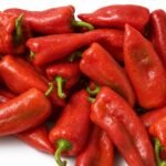 Bell Pepper — Bell pepper