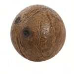 Coconut — Coconut