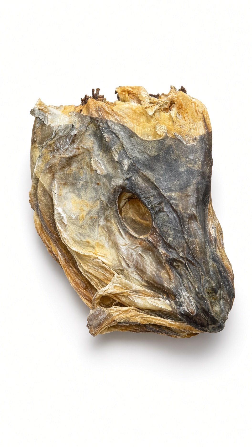 Stock Cod — Stock Cod
