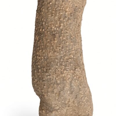 Yam — Yam