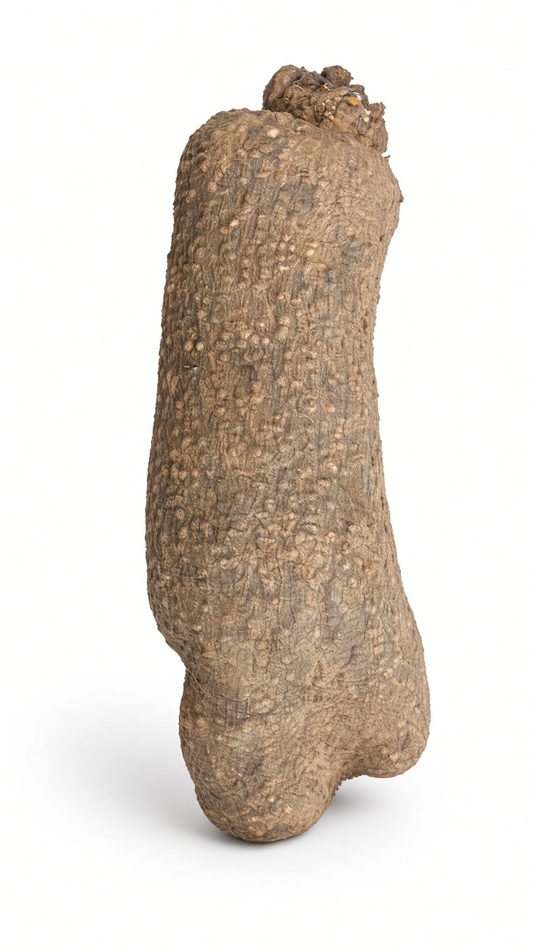 Yam — Yam Yam — Yam